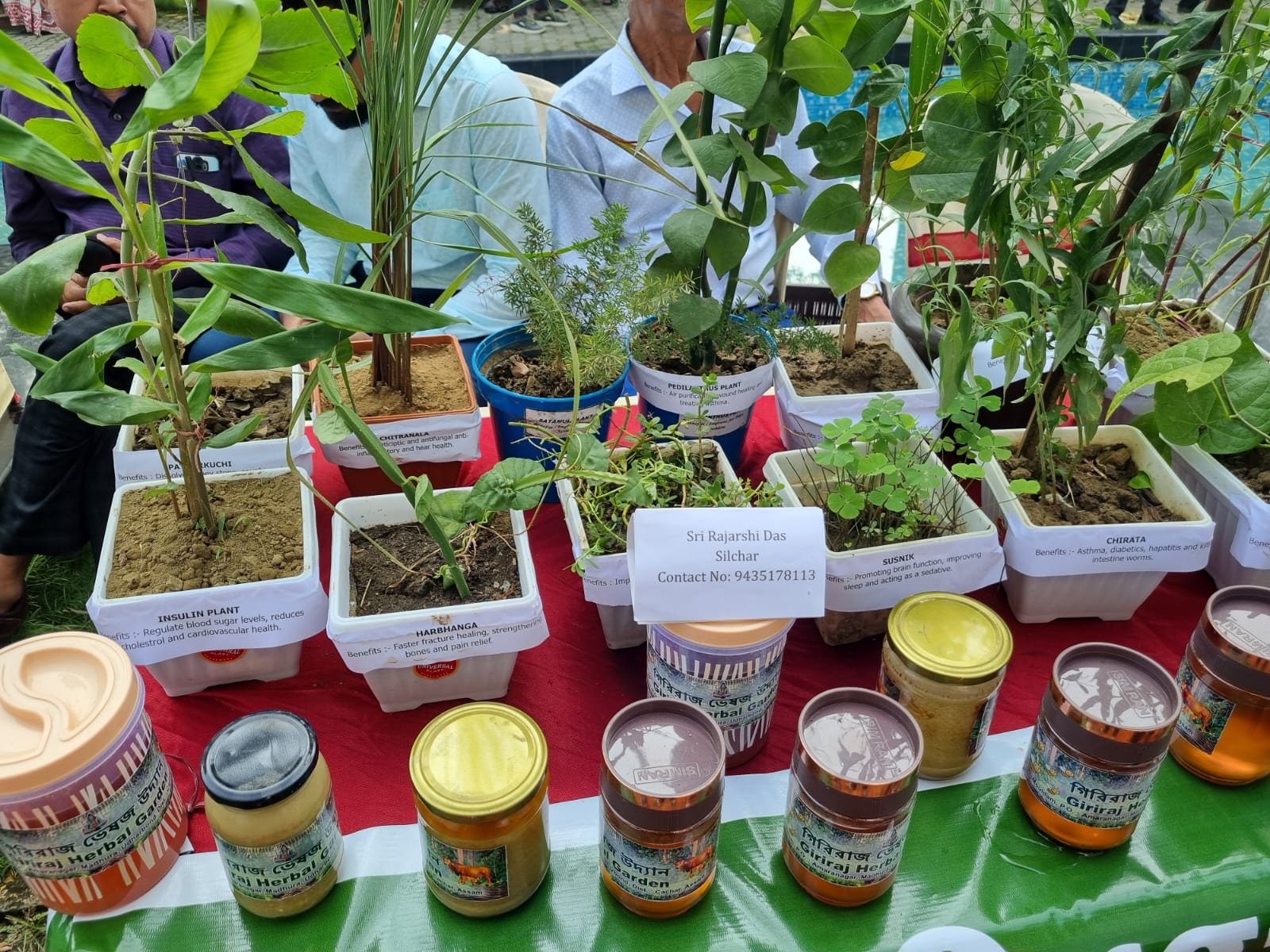 Environmental Conservation